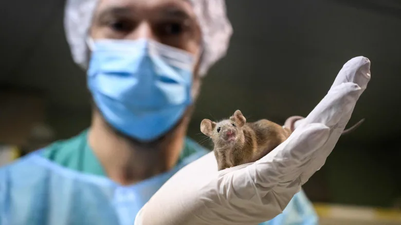 Man Holding A Rat