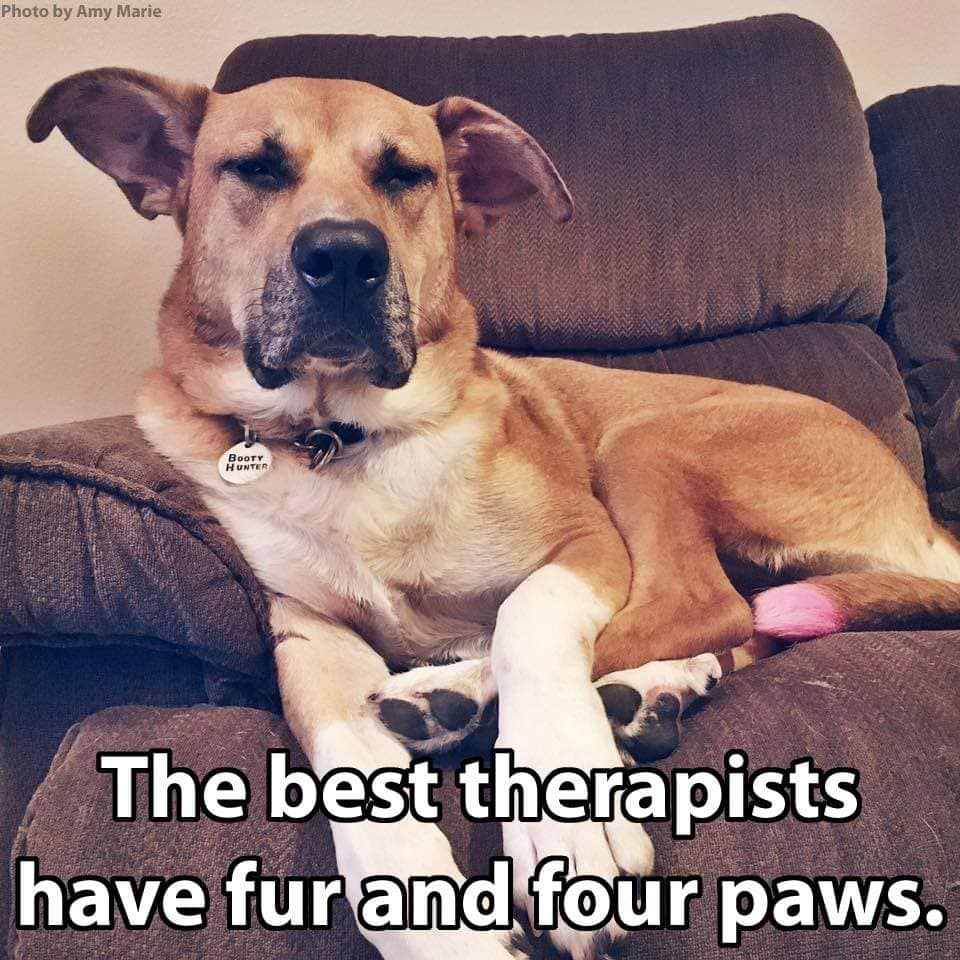Dog Best Therapist