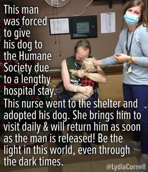Dog Master Hospital