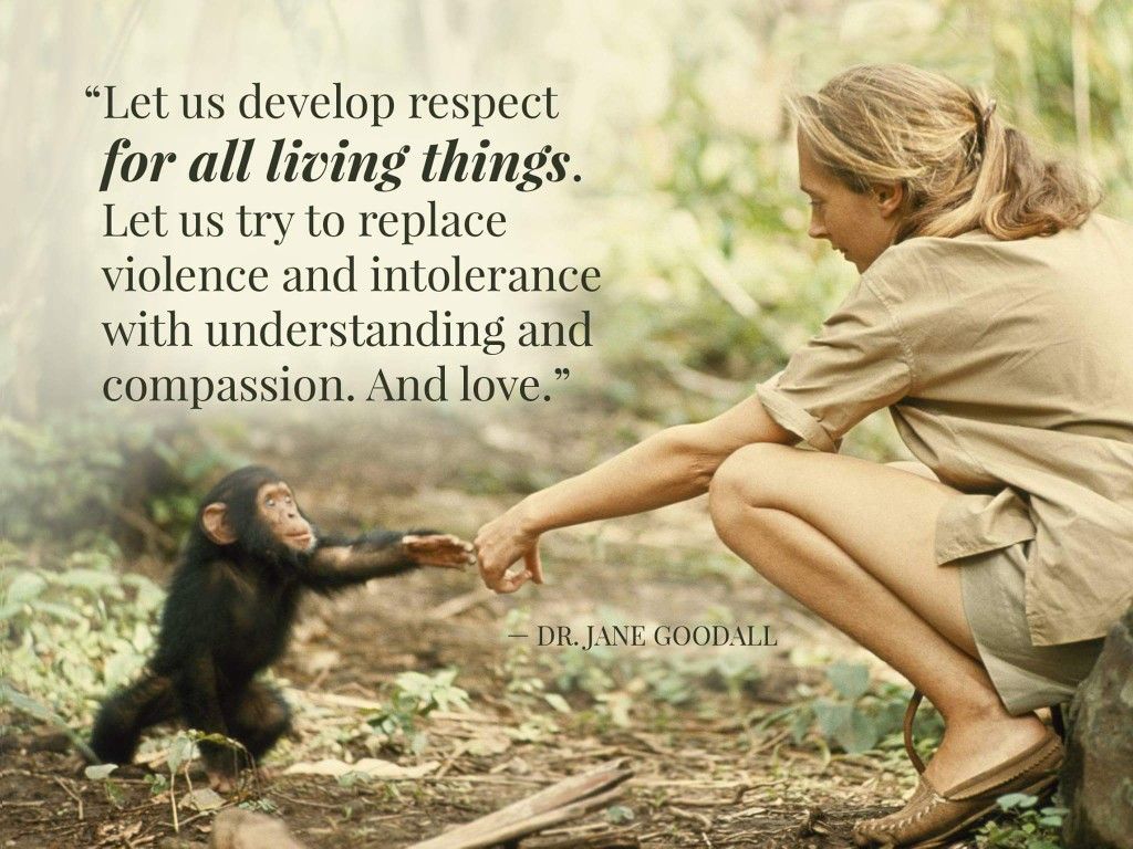 Dr. Jane Goodall Quote