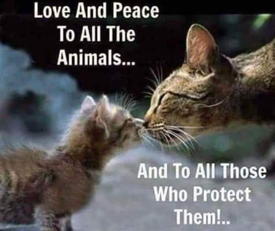 Who Protect Them