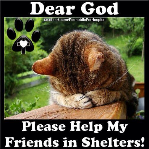 Dear God