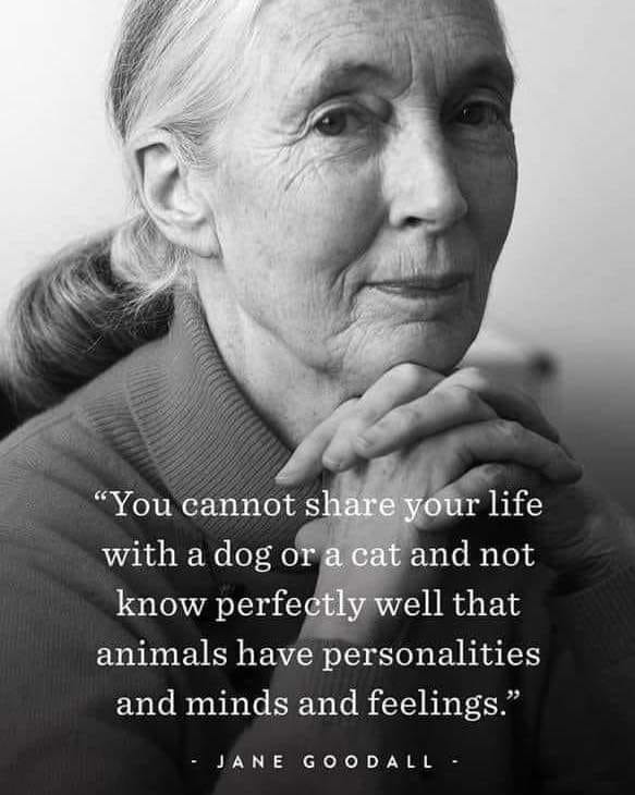 Dr. Jane Goodall