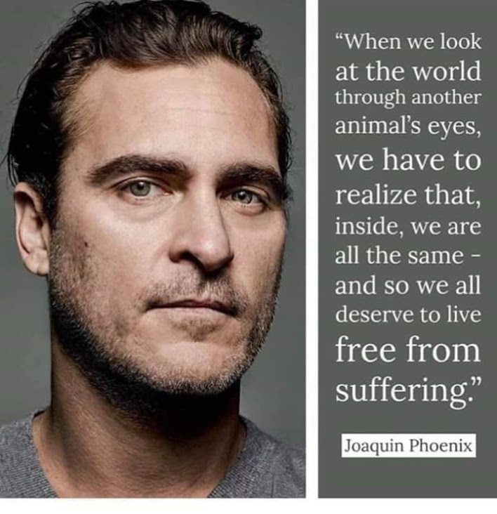 Joaquin Phoenix