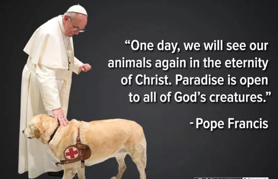Pope Francis